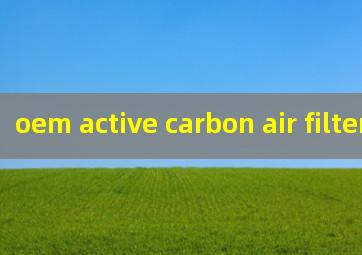oem active carbon air filter